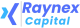 Raynex Capital logo