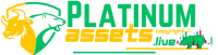 Platinum Assets