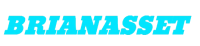 Brianasset Investment