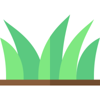 Vobodex