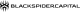 Black Spider Capital