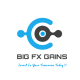 Bigfxgains