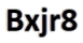 Bxjr8 logo