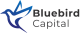 Bluebird Capital logo