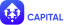 Anchora Capital AS logo